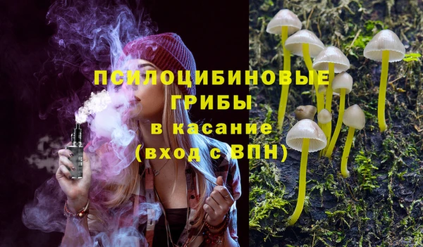 PSILOCYBIN Балахна