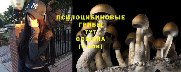 COCAINE Магас