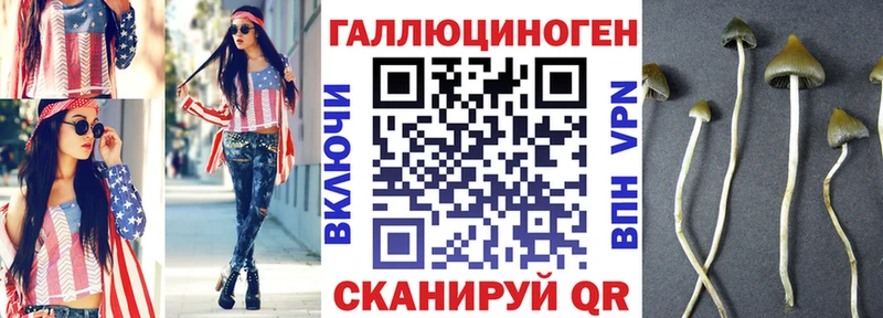 даркнет сайт  Челябинск  гидра рабочий сайт  Псилоцибиновые грибы Psilocybe 