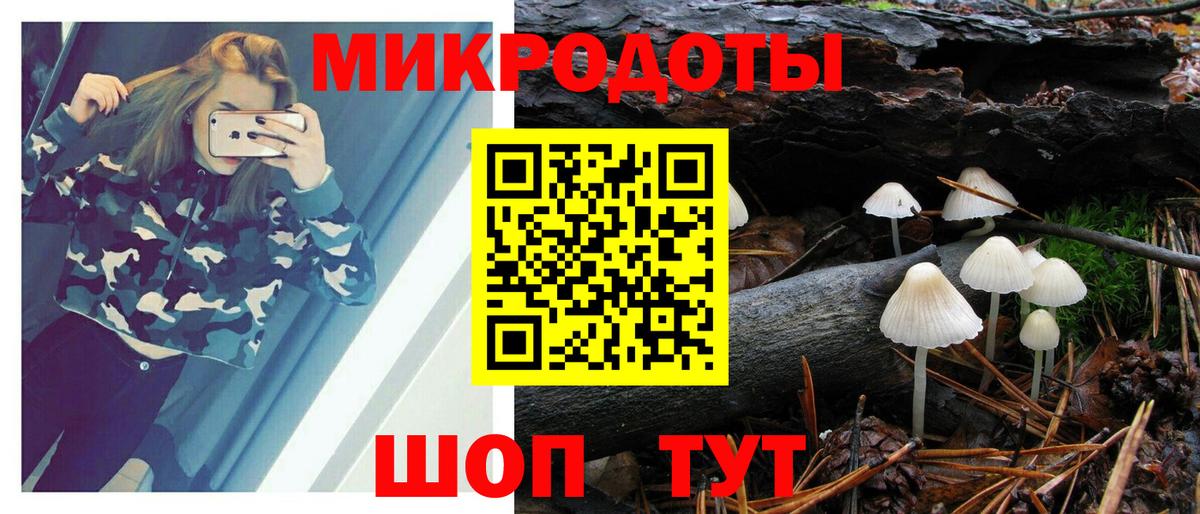Псилоцибиновые грибы мухоморы  Челябинск  Псилоцибиновые грибы Psilocybine cubensis 